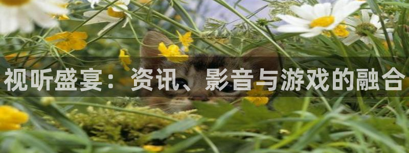 长征娱乐登录：视听盛宴：资讯、影音与游戏的融合