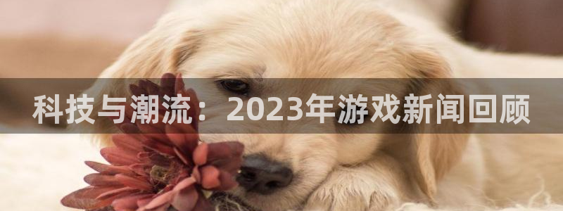 长征娱乐注册官方登录app：科技与潮流：2023年游戏新闻回