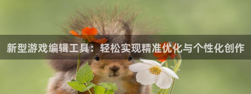 长征娱乐怎么注册：新型游戏编辑工具：轻松实现精准优化与个性化
