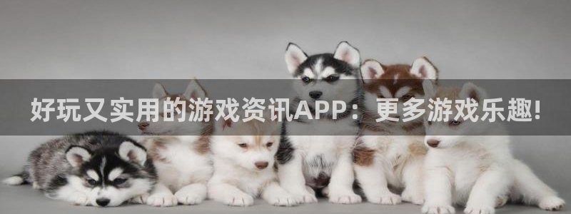 长征娱乐平台登陆