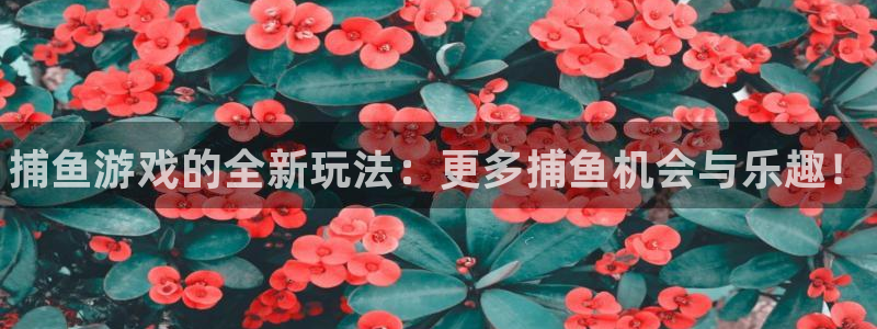 长征娱乐注册登录平台:捕鱼游戏的全新玩法:更多捕鱼机会与乐趣