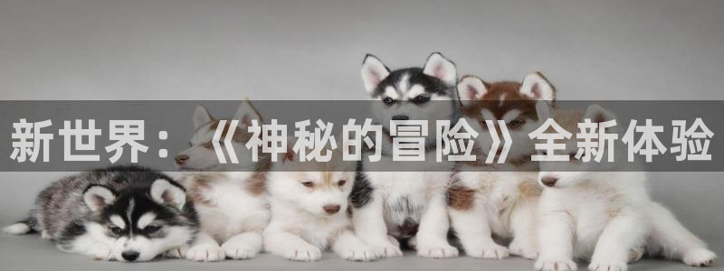 长征娱乐注册平台:新世界:《神秘的冒险》全新体验
