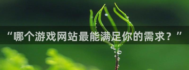 长征娱乐注册地址:“哪个游戏网站最能满足你的需求?”