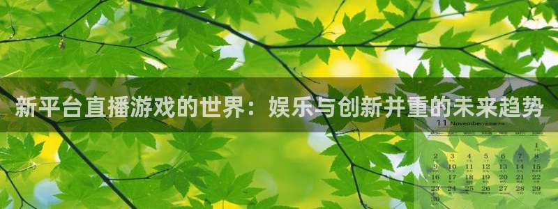 长征娱乐平台登陆：新平台直播游戏的世界：娱乐与创新并重的未来