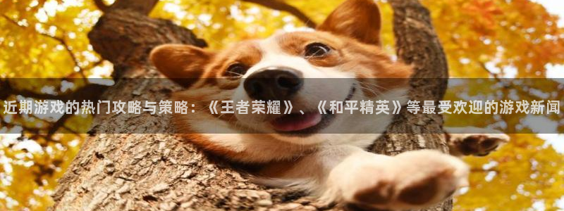 长征娱乐4招商